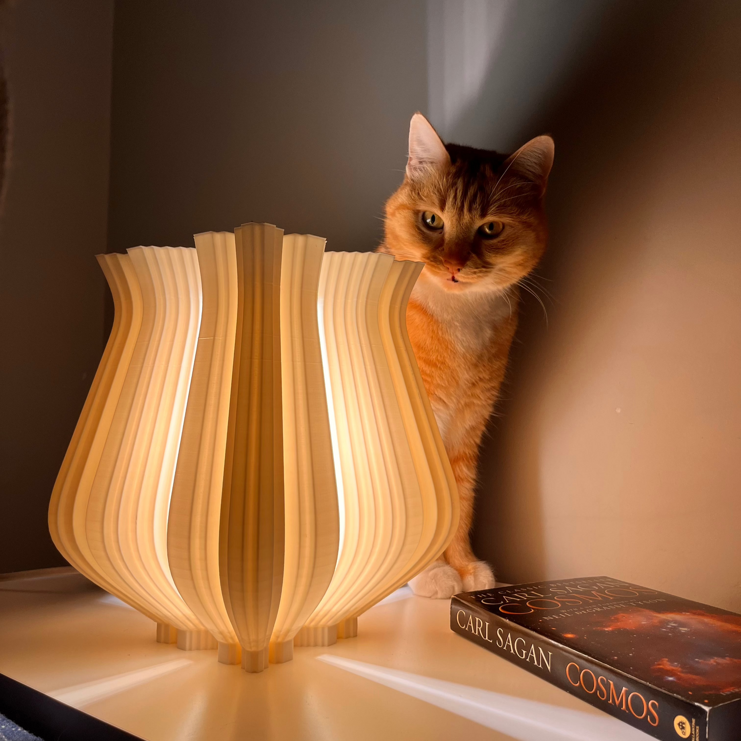Elbetitsa Table Lamp